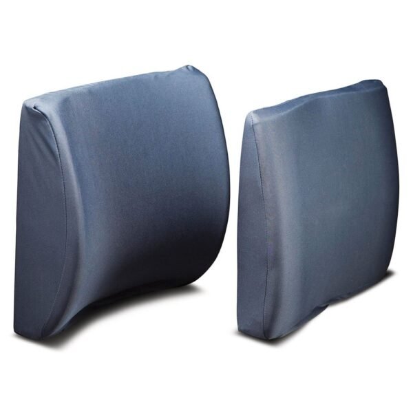 Back Support: Apollo Plus