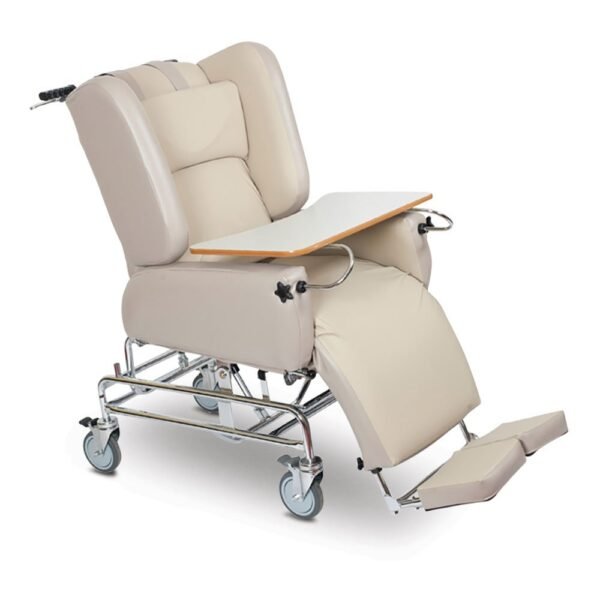 Recliner Chair: Daily Chair